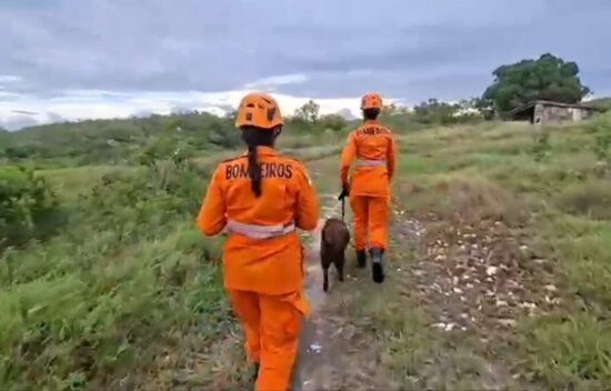 Bombeiros tentam localizar idoso de 65 anos desaparecido em Itabaiana